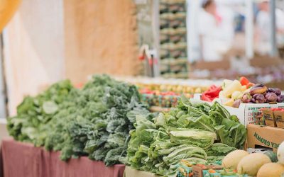 Unlock the Benefits of Organic Produce for Health in 2026!