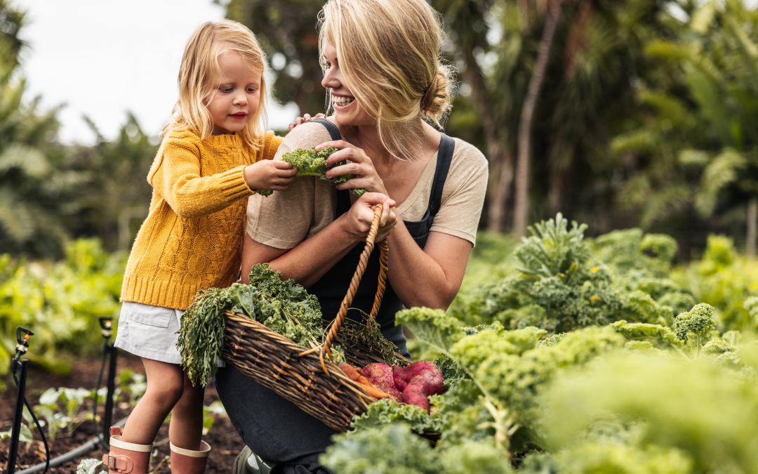 whole food supplements
