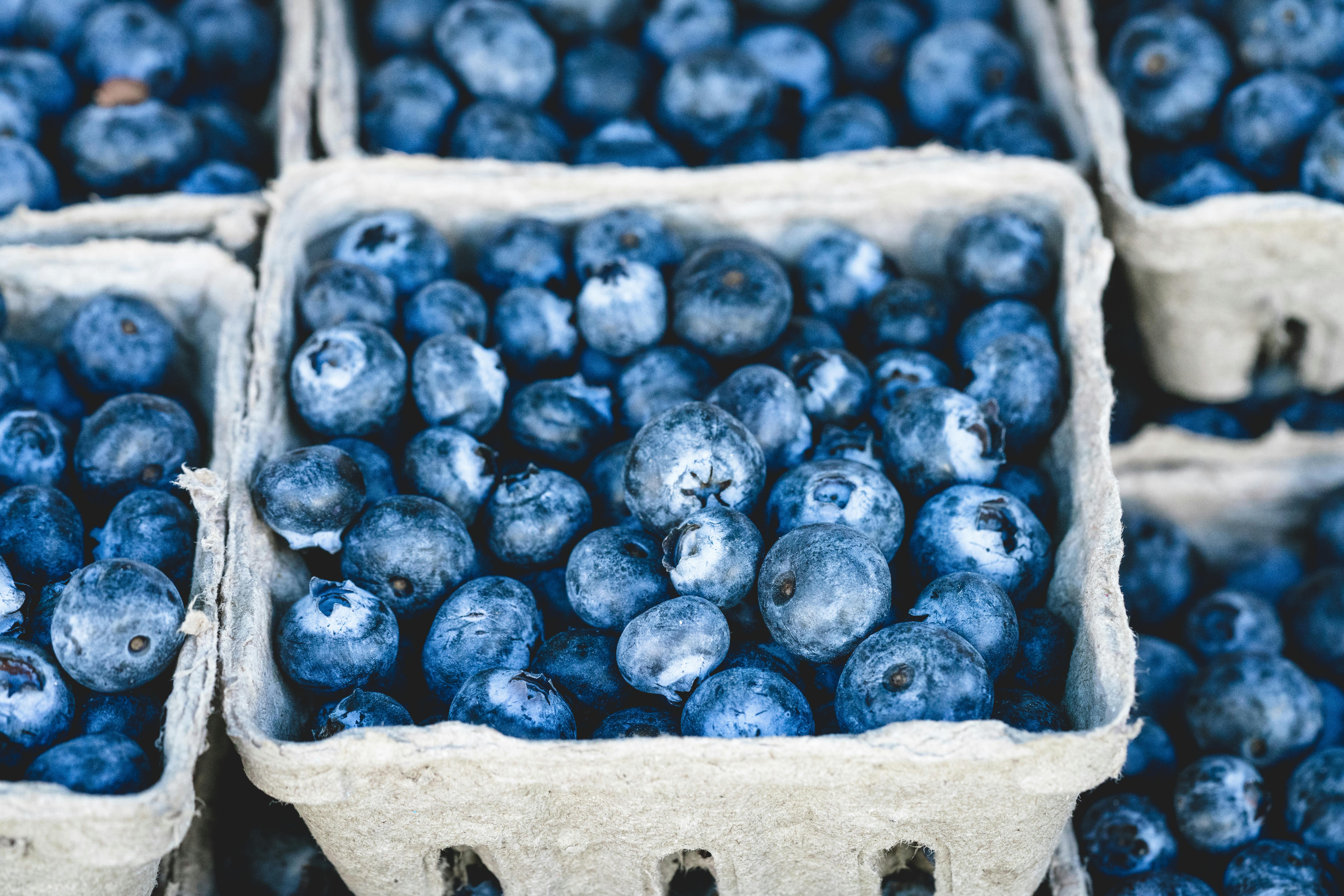 whole food meal plan