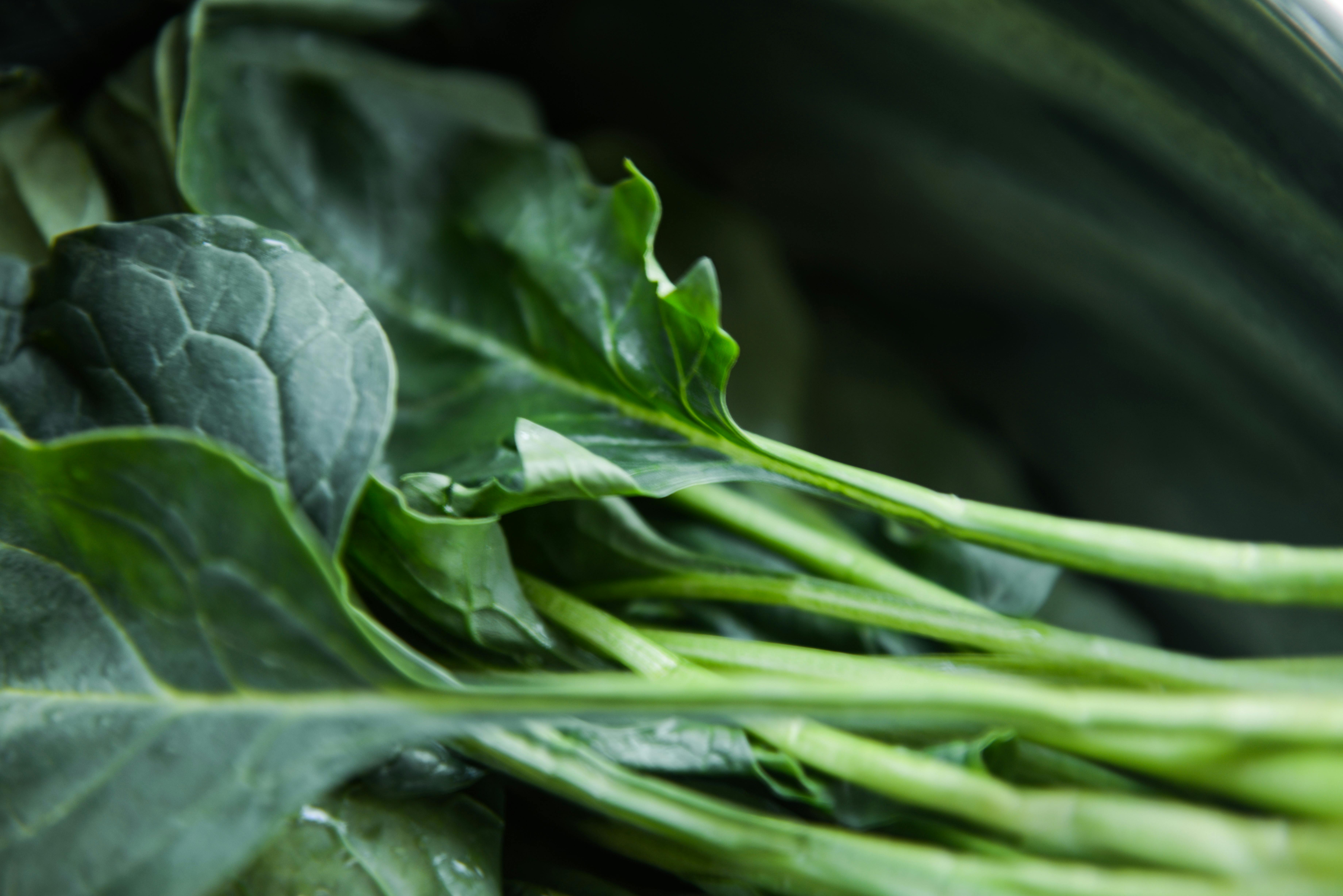 organic nutrient dense foods