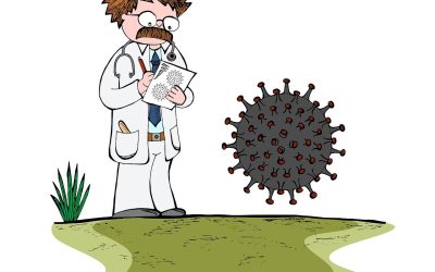 Nutrient Dense Foods to Boost Your Immune System