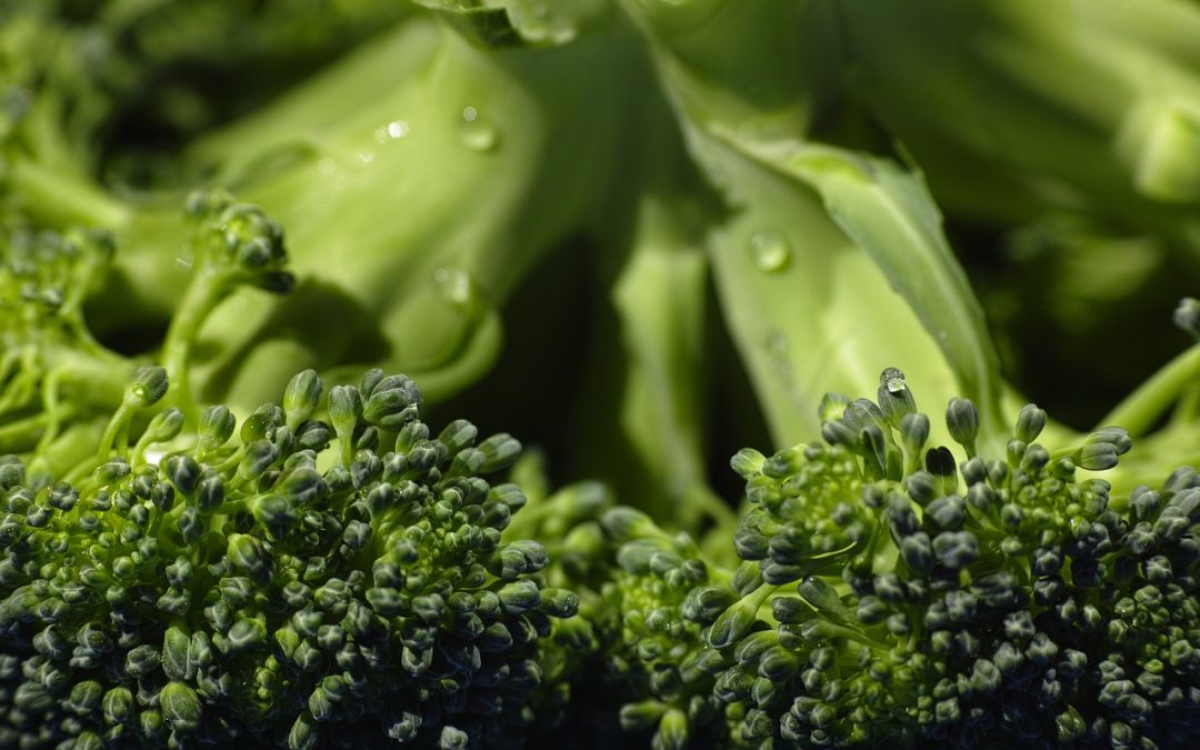 whole food for gut health