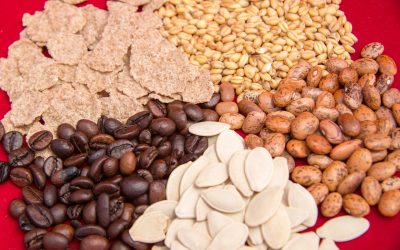 The Truth About Live Whole Food Nutrition