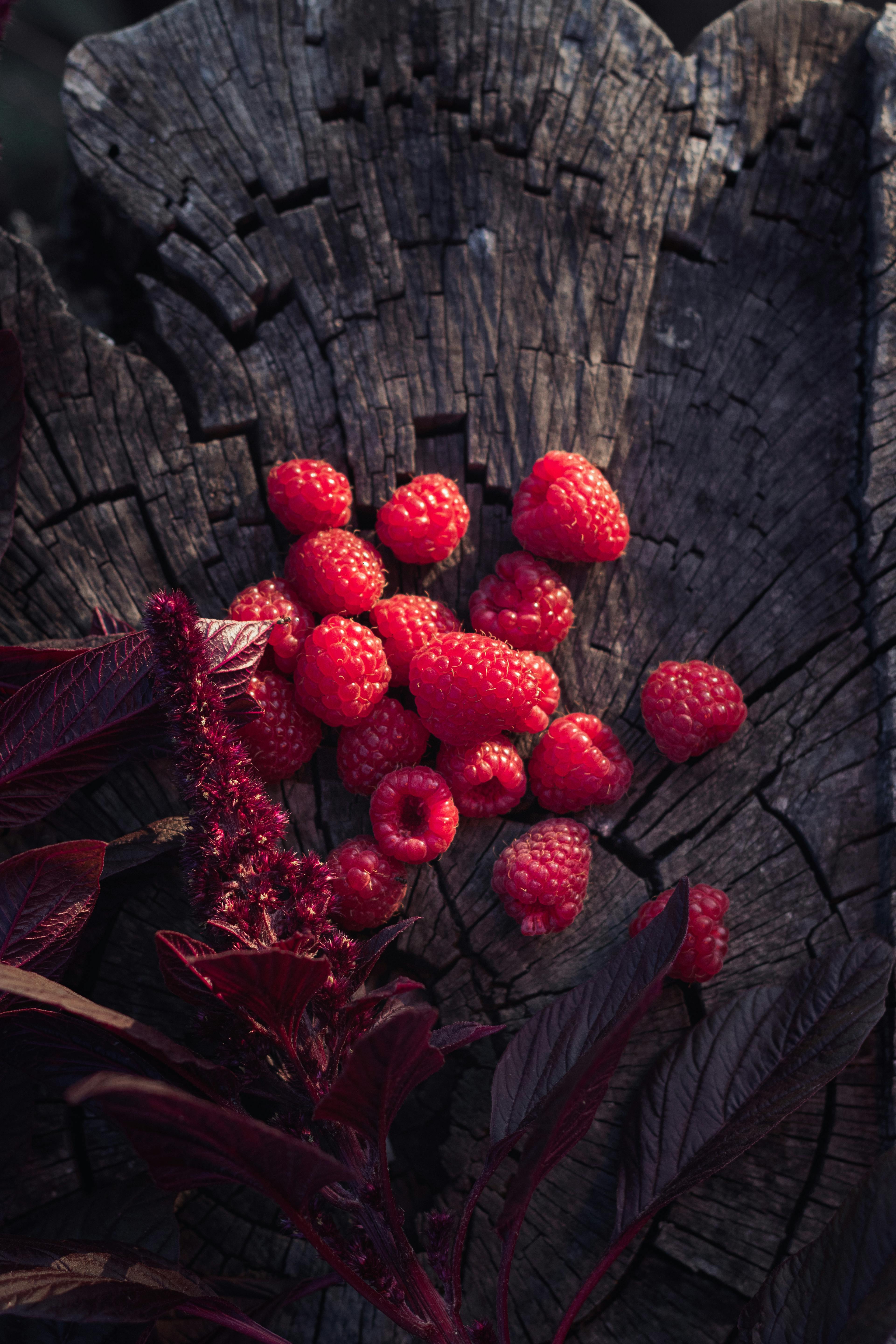 whole food for gut health